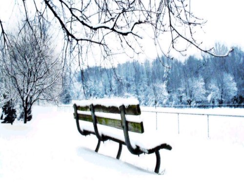 snow-covered-bench.jpg